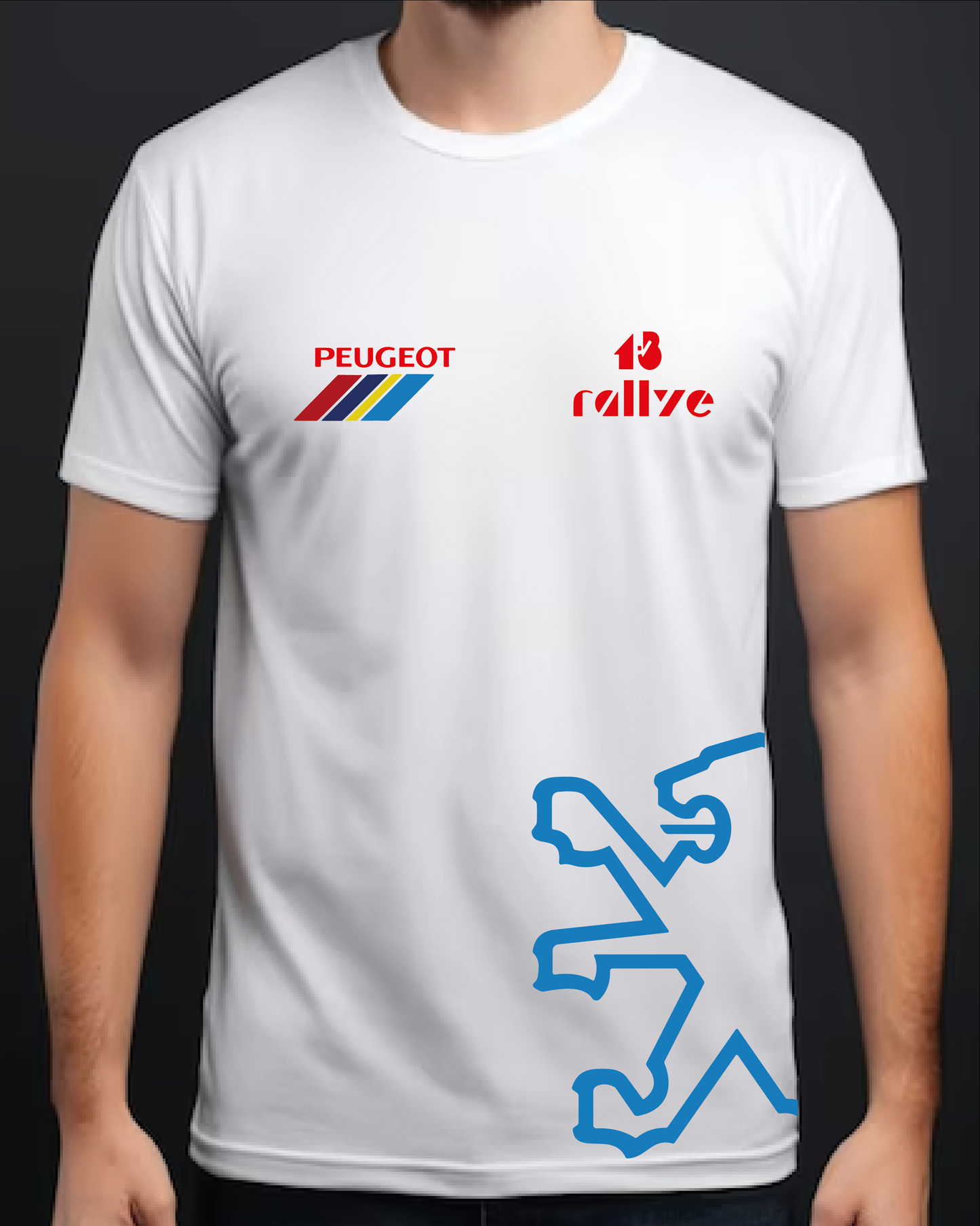 Peugeot 205 Rallye